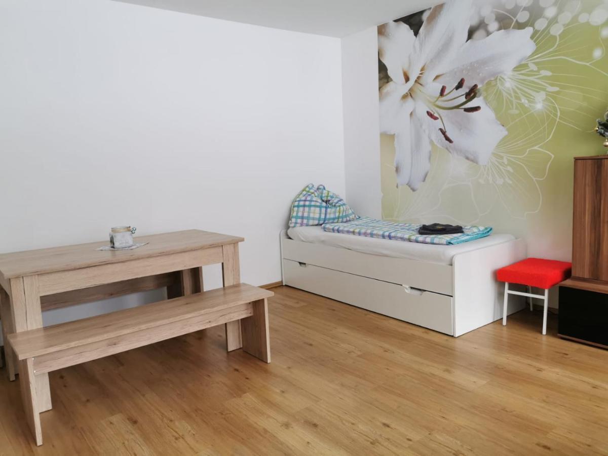 Apartment Fewo Irdning Pichlarn Aigen im Ennstal Eksteriør billede