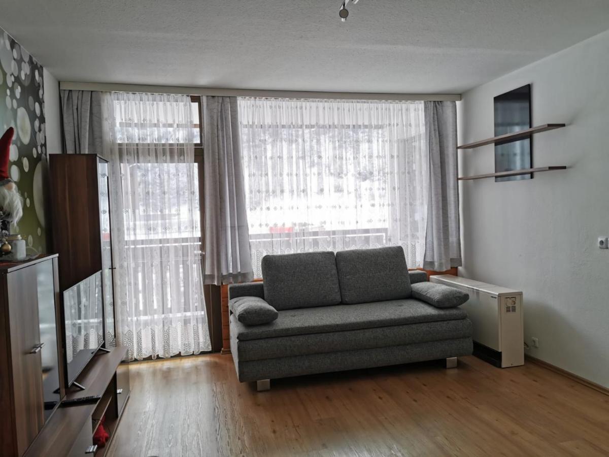 Apartment Fewo Irdning Pichlarn Aigen im Ennstal Eksteriør billede