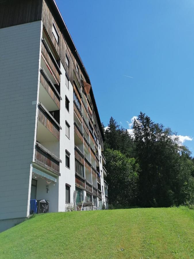 Apartment Fewo Irdning Pichlarn Aigen im Ennstal Eksteriør billede