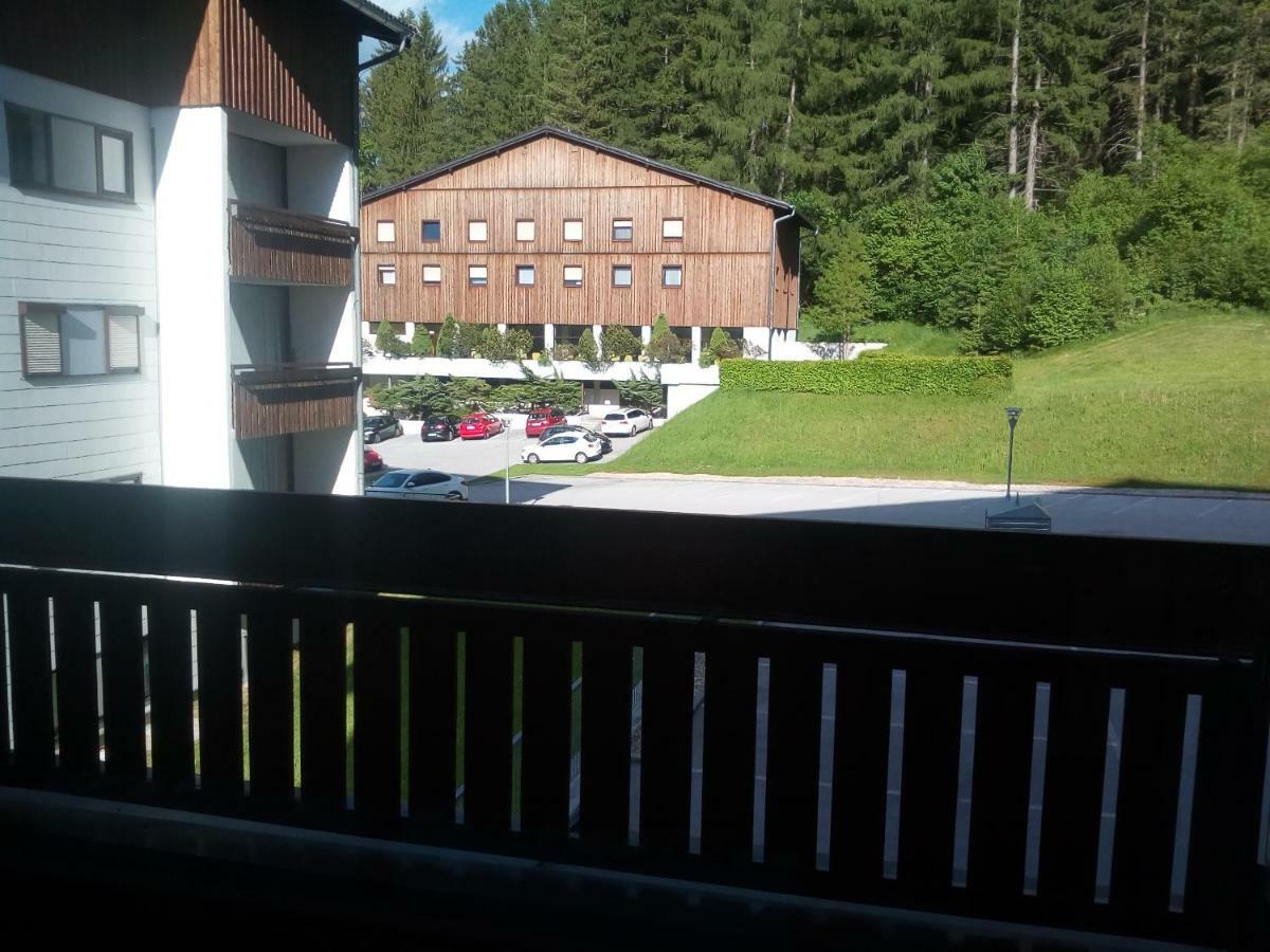 Apartment Fewo Irdning Pichlarn Aigen im Ennstal Eksteriør billede