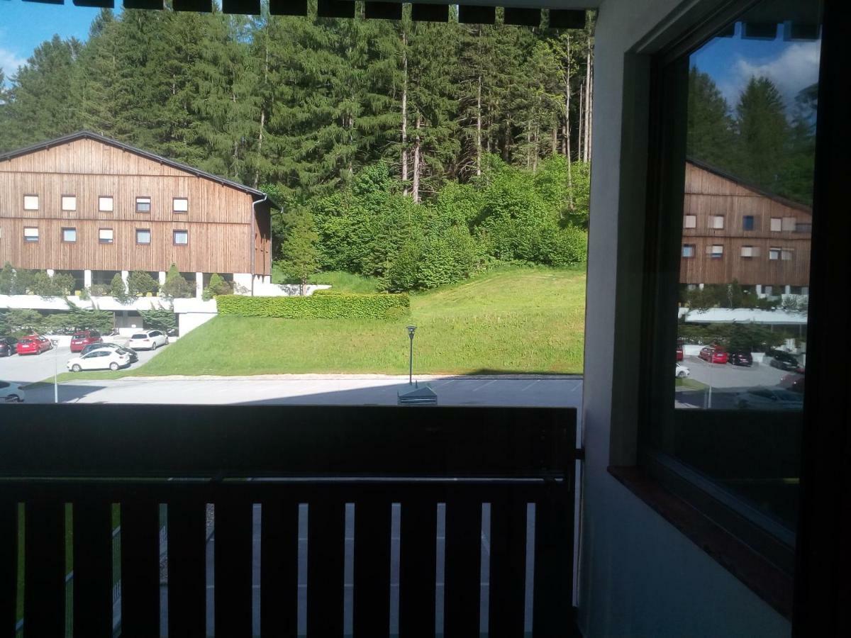 Apartment Fewo Irdning Pichlarn Aigen im Ennstal Eksteriør billede